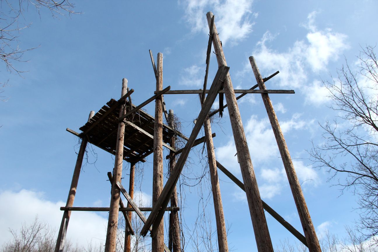 Eagle hacking tower